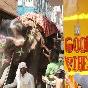 Good Vibes Hostel